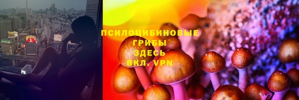 ECSTASY Беломорск