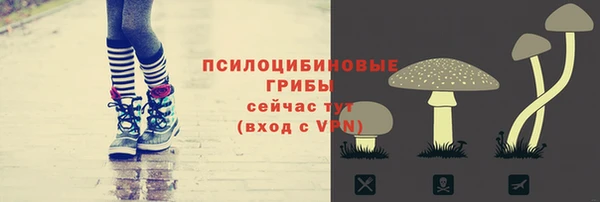 прущий лед Белоозёрский