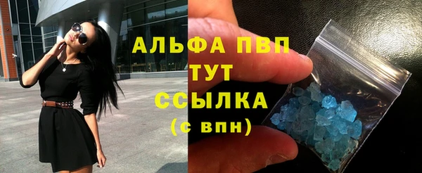 стаф Белокуриха