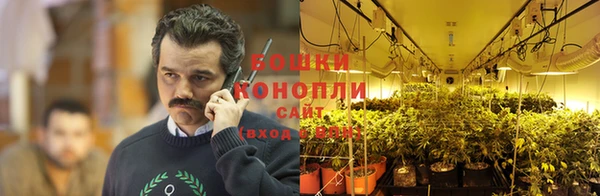 стаф Белокуриха