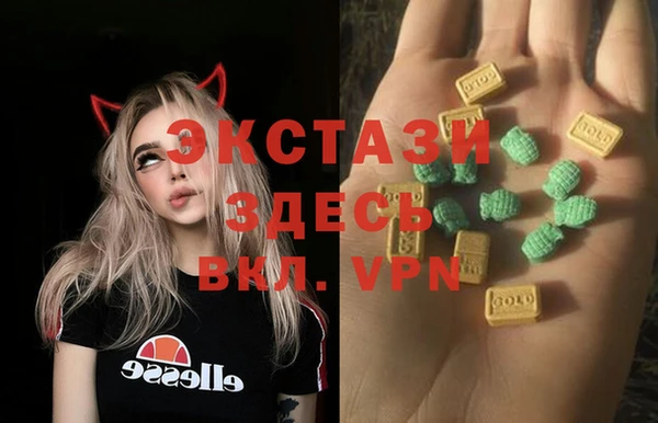 стаф Белокуриха