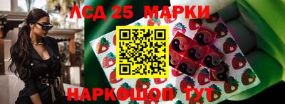 стафф Лесосибирск