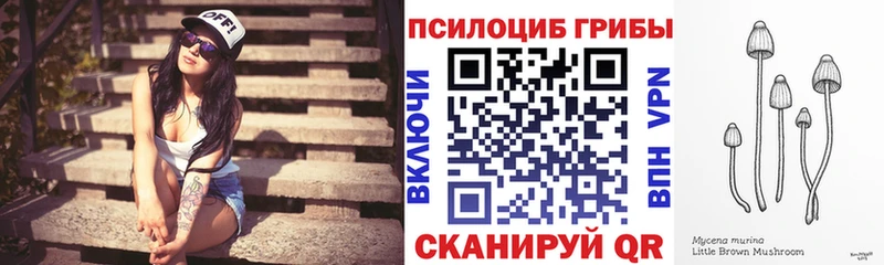 Псилоцибиновые грибы Psilocybine cubensis  как найти закладки  кракен вход  Городец 