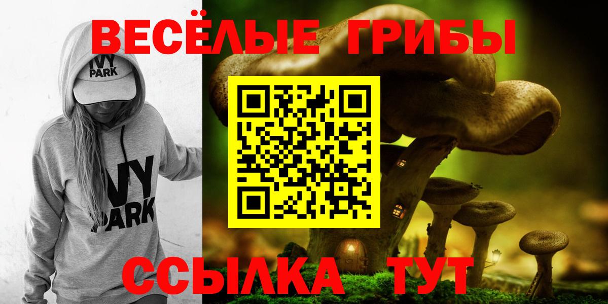 Псилоцибиновые грибы GOLDEN TEACHER Городец