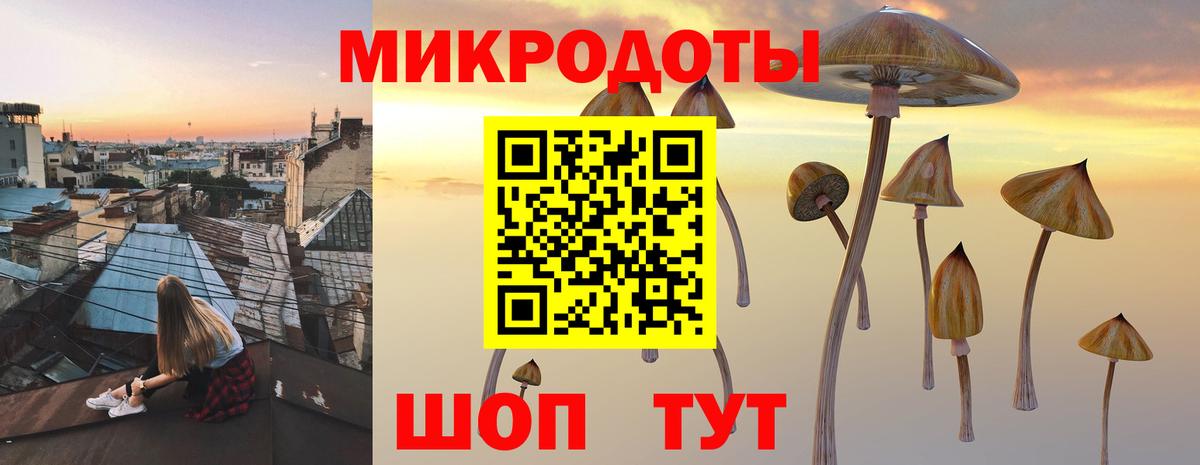 Псилоцибиновые грибы Magic Shrooms  Вход с VPN  Городец 